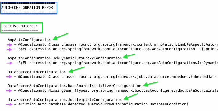 spring auto-configuration-positive-matches